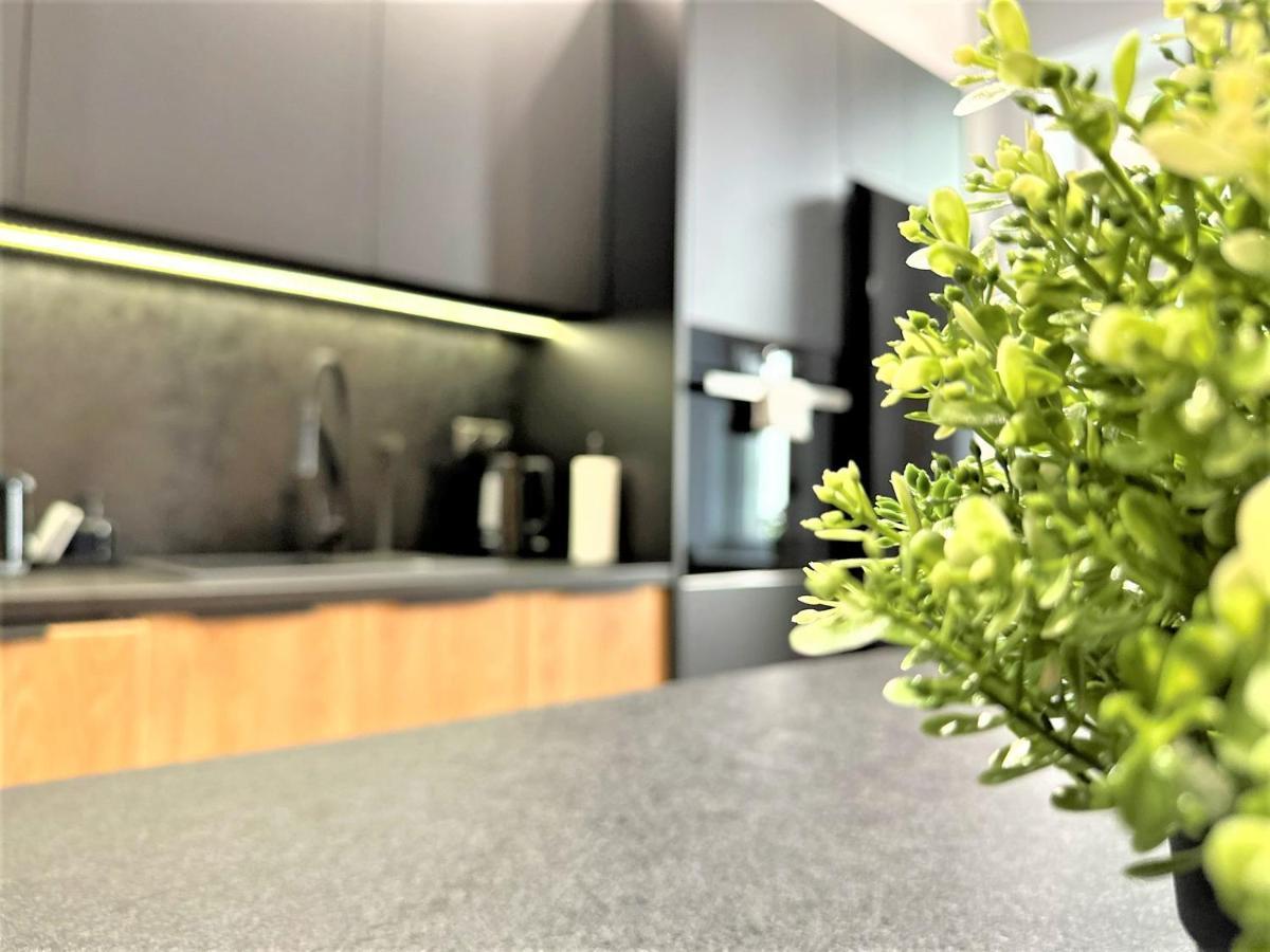 Luxury 100M2 Loft Design-Apartment At Wawel + Netflix Krasków Εξωτερικό φωτογραφία