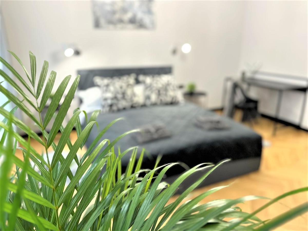 Luxury 100M2 Loft Design-Apartment At Wawel + Netflix Krasków Εξωτερικό φωτογραφία