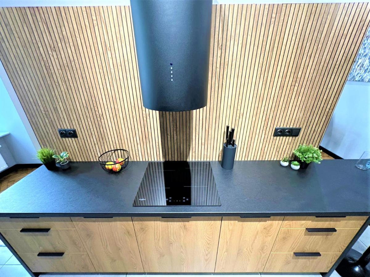 Luxury 100M2 Loft Design-Apartment At Wawel + Netflix Krasków Εξωτερικό φωτογραφία