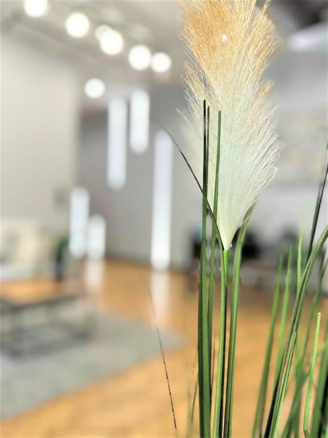 Luxury 100M2 Loft Design-Apartment At Wawel + Netflix Krasków Εξωτερικό φωτογραφία